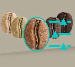 SIEMENS EQ.900 TQ905R03 Inox Garantie 3 Ans -Bodum Soldes 8siemenseq900inox