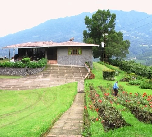 4x250g Café En Grain Bio La Esperanza - Cafés Lugat 6 4x250g Café En Grain Bio La Esperanza - Cafés Lugat – Image 4