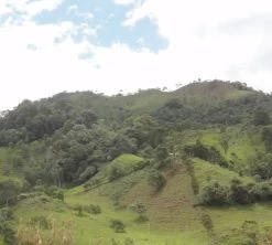 250g Café En Grain Bio La Esperanza - Cafés Lugat 11 250g Café En Grain Bio La Esperanza - Cafés Lugat -Bodum Soldes cafe grains esperanza colombie 5