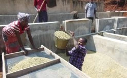 Café En Grains : Ethiopie - Moka Sidamo Marabou - 1Kg - Cafés Lugat -Bodum Soldes cafe moka sidamo marabou 1 1