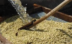 Café En Grains : Ethiopie - Moka Sidamo Marabou - 1Kg - Cafés Lugat -Bodum Soldes cafe moka sidamo marabou 3 1