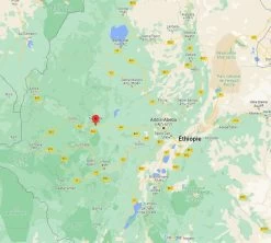 4x250g Café En Grain Bio - Ethiopie Moka Nekemte - CAFES LUGAT 7 4x250g Café En Grain Bio - Ethiopie Moka Nekemte - CAFES LUGAT -Bodum Soldes cafeengraincafeslugatethiopie