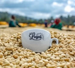 1 Kg Café En Grain Le Dark'n Sweet - Cafés Lugat -Bodum Soldes cafeengraincafeslugatmarque