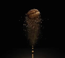 500gr Café En Grains Lavazza - Voix De La Terre For Amazonia Bio -Bodum Soldes cafeengraincartenoire2 11