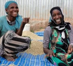 250 G- Café En Grain Dambi Uddo - LE PIANTAGIONI DEL CAFFE -Bodum Soldes cafeengrainlpdcdambiuddo1