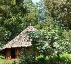 250 G- Café En Grain Dambi Uddo - LE PIANTAGIONI DEL CAFFE -Bodum Soldes cafeengrainlpdcdambiuddo3