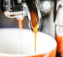 1 Kg Café En Grain Purissima - Perléo Espresso -Bodum Soldes cafeengrainperleoespressopurissimaextraction