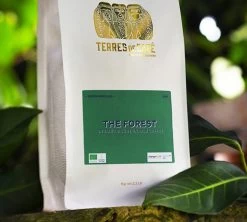 250g Café En Grain Bio The Forest - Terres De Café -Bodum Soldes cafeengrainterresdecafetheforestcafedeforet250g