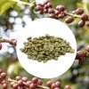1 Kg - Café Vert Bio - Région Tolima - Amérique Du Sud - Lavé - Bio -Bodum Soldes colombietolima