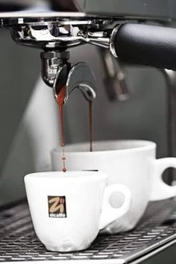 Café En Grains 100% Arabica Black Of Italy Zicaffè 3kg -Bodum Soldes espresso zicaffe