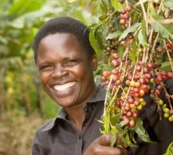 1 Kg - Café En Grain : Ethiopie - Moka Yrgacheffe CAFÉS LUGAT -Bodum Soldes ethiopie yrgacheffe cafe grains4