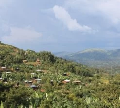 1 Kg - Café En Grain : Ethiopie - Moka Yrgacheffe CAFÉS LUGAT -Bodum Soldes ethiopie yrgacheffe cafe grains5