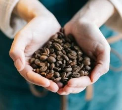 Café En Grains Brûlerie Du Cantin - Mélange Dégustation 100% Arabica - 250gr -Bodum Soldes lifestyle grain 2