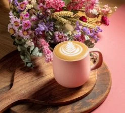 Pack Découverte " Consommer Mieux " - Cafetière à Piston 1L / 8 Tasses- Exclusivité MaxiCoffee 7 Pack Découverte " Consommer Mieux " - Cafetière à Piston 1L / 8 Tasses- Exclusivité MaxiCoffee -Bodum Soldes mugpylanoporcelaine