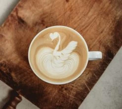 Tasses - MAXICOFFEE - Cappuccino Et Sous-tasses Porcelaine 17.5 Cl -Bodum Soldes tasse 2